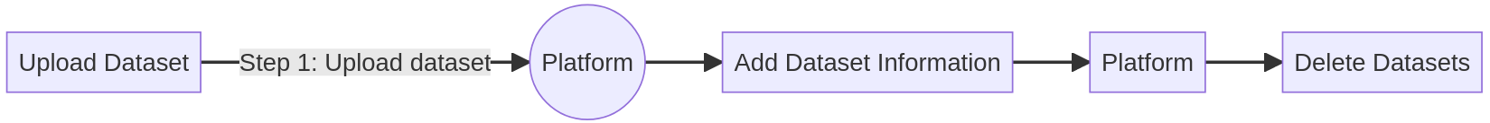 Upload Dataset Workflow